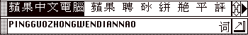 Cihui demo 24